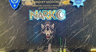 Edirne'de uyuşturucu satıcılarına operasyon: 2 tutuklama
