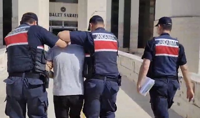 Edremit'teki orman yangına ilişkin 1 tutuklama