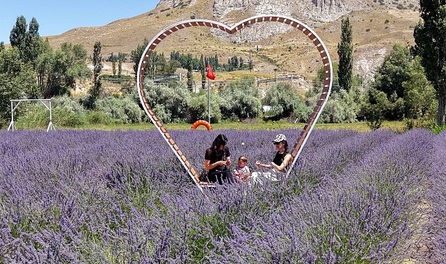 Emeklilikte yaşadığı boşluğu lavanta bahçesi ile doldurdu