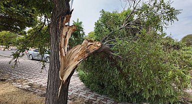 Erciş'te şiddetli fırtına hasara yol açtı