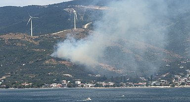 Erdek'te orman yangını