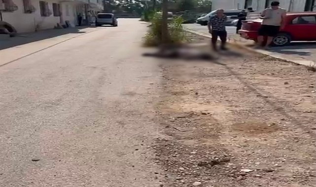 Eşi ve eniştesini tabancayla öldüren şüpheli tutuklandı