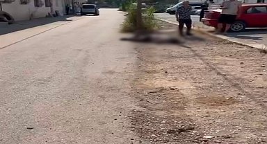 Eşi ve eniştesini tabancayla öldüren şüpheli tutuklandı