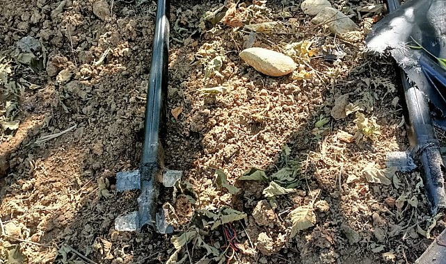 Fındık bahçesinde İHA olabileceği değerlendirilen cisim bulundu