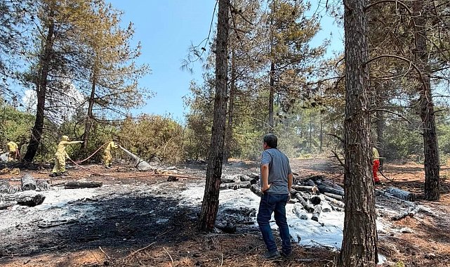 Gaziantep'te 1 dönüm orman yandı