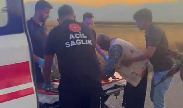 Gaziantep'te hayvan otlatma kavgası; 2 yaralı