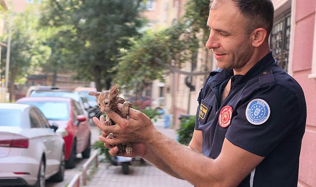 Gider borusuna sıkışan kediyi itfaiye ekipleri kurtardı