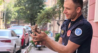Gider borusuna sıkışan kediyi itfaiye ekipleri kurtardı
