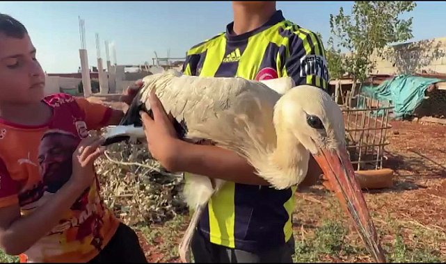 Göçte yorgun düşen leyleği evinde misafir etti