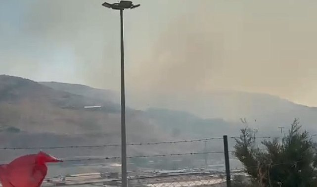 Hatay'da orman yangını