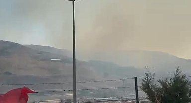 Hatay'da orman yangını