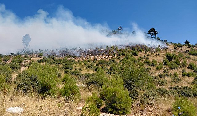 İzmir'de orman yangını