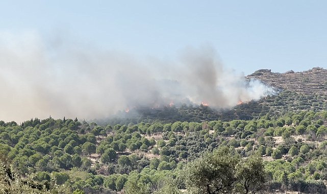 İzmir'de orman yangını