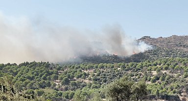 İzmir'de orman yangını