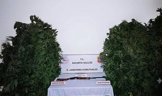 Jandarmanın 2 ayrı uyuşturucu operasyonunda 3 tutuklama