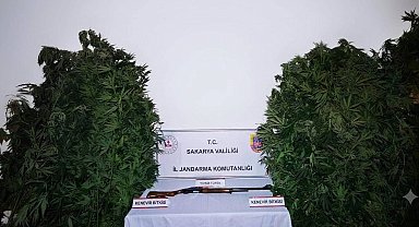 Jandarmanın 2 ayrı uyuşturucu operasyonunda 3 tutuklama