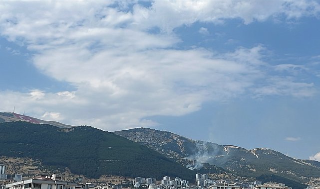 Kahramanmaraş'ta çıkan orman yangını söndürüldü