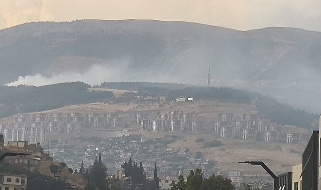 Kahramanmaraş'ta orman yangını