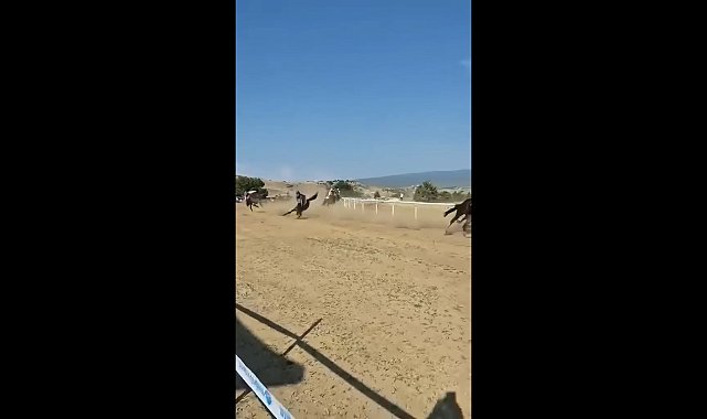 Kastamonu'da festivalde at yarışında kaza: 1 jokey yaralı, 2 at öldü
