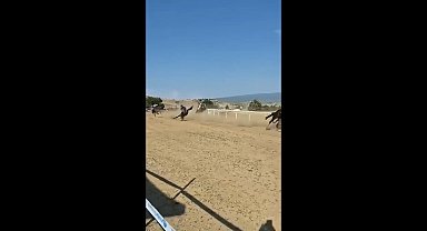 Kastamonu'da festivalde at yarışında kaza: 1 jokey yaralı, 2 at öldü