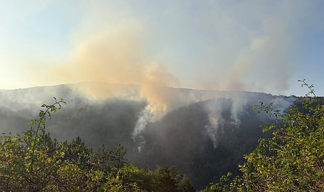 Kastamonu'da ormanlık alanda çıkan yangın kontrol altına alındı