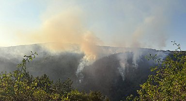 Kastamonu'da ormanlık alanda çıkan yangın kontrol altına alındı