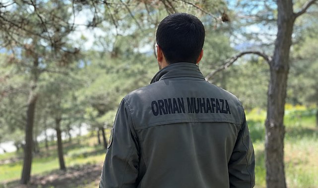 KDK'dan, diyabet hastası orman muhafaza memuru için 'açık arazide çalışmasın' tavsiye kararı