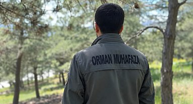 KDK'dan, diyabet hastası orman muhafaza memuru için 'açık arazide çalışmasın' tavsiye kararı
