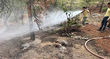 Kilis'te orman yangını