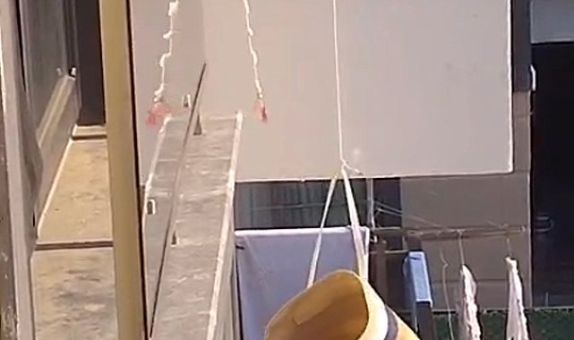 Klima ünitesinde mahsur kalan kediyi plaj çantasıyla kurtardı