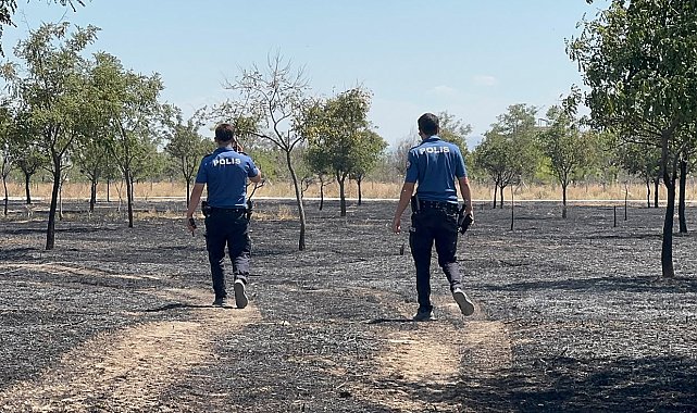 Konya'da ağaçlık alan yandı