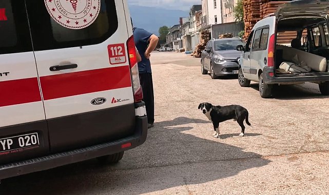 Köpeğe çarpmamak için manevra yapınca motosikleti devrilip, yaralandı