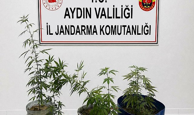 Kuşadası'nda uyuşturucu operasyonu: 3 gözaltı