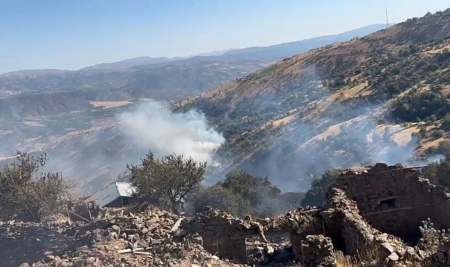Malatya'da orman yangını