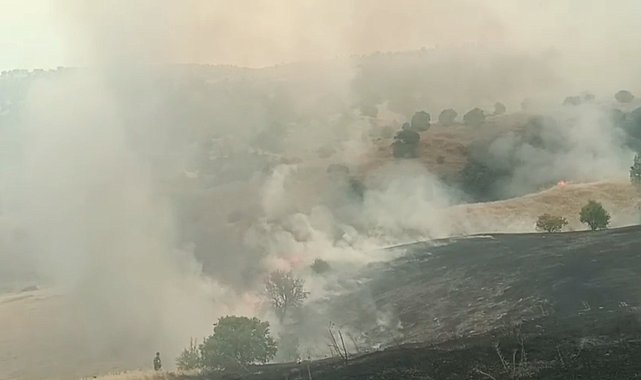 Malatya'da orman yangını