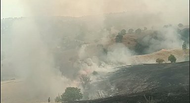 Malatya'da orman yangını