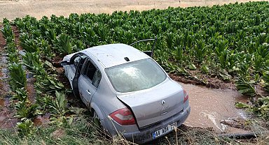 Malatya'da otomobil, tütün tarlasına girdi: 3 yaralı