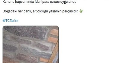 Manisa'da 61 yaban hayvanına el konuldu