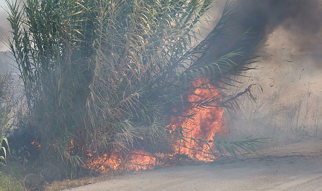 Manisa'da hurdalıktaki yangın, tarım arazisine de sıçradı