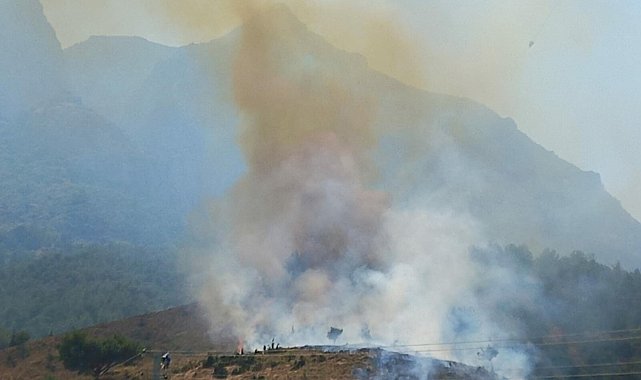 Manisa'da orman yangını