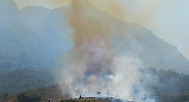 Manisa'da orman yangını