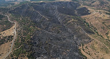 Manisa'daki orman yangınında zarar gören alanlar dronla görüntülendi