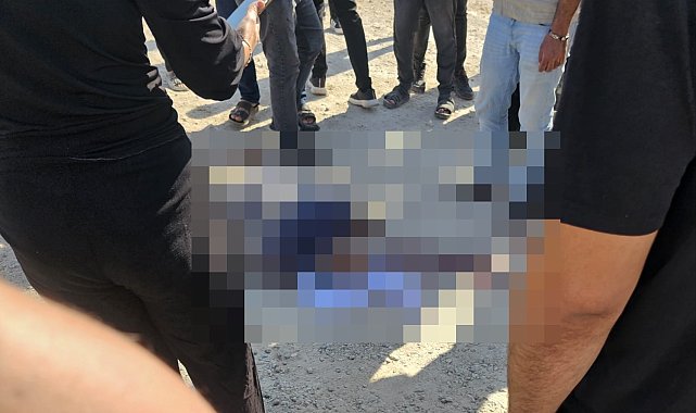 Mardin'de minibüsün çarptığı yaya hayatını kaybetti