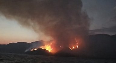 Marmaris'te orman yangını