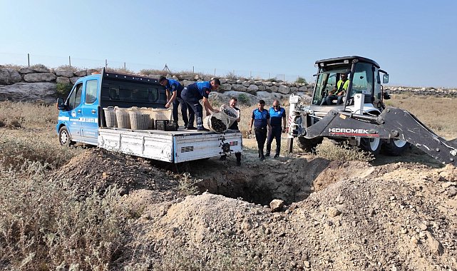 Mersin'de 200 kilo bozuk midye dolması ele geçirildi