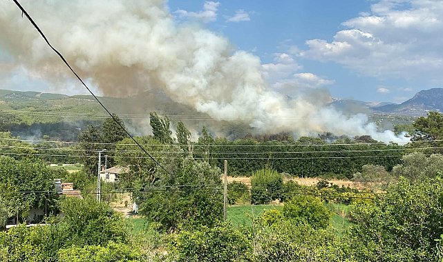 Muğla Seydikemer'de orman yangını kontrol altında