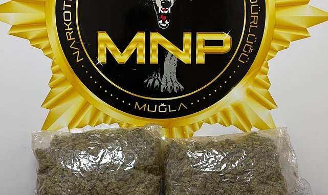 Muğla'da 1,9 kilogram esrar ile yakalanan 2 şüpheli tutuklandı
