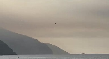 Muğla'da orman yangını ikinci gününde