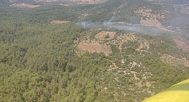 Muğla'da orman yangını
