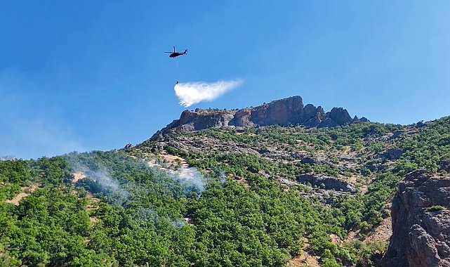 Munzur Vadisi Milli Parkı'ndaki yangın kontrol altına alındı